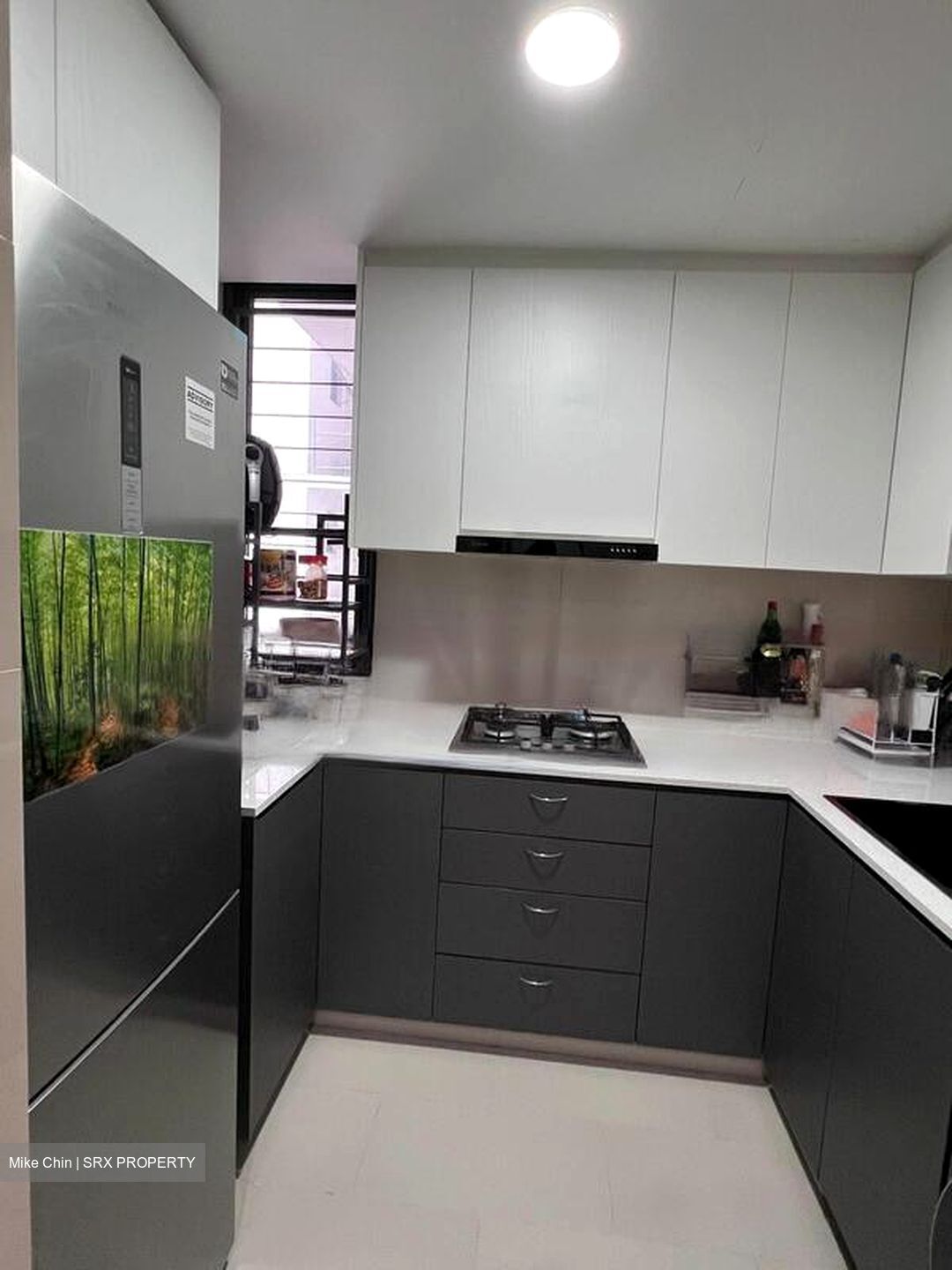 La Fiesta (D19), Condominium #461871831